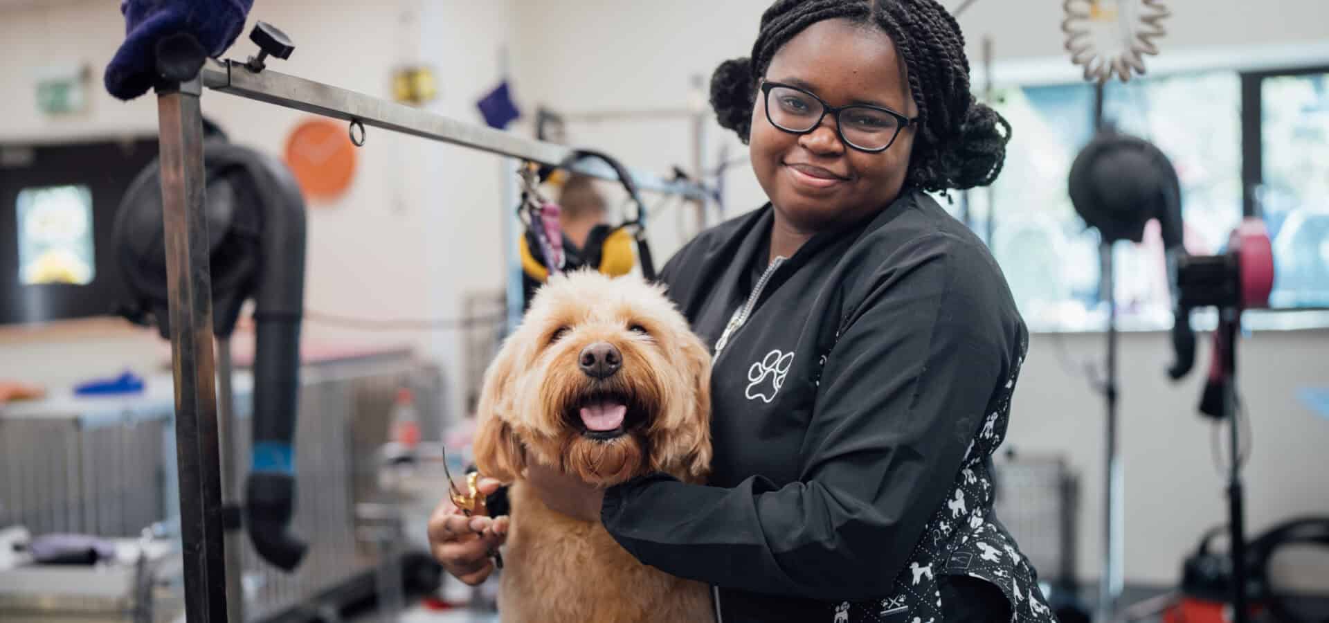 Dog Grooming Student in Dog Grooming Salon with a Dog