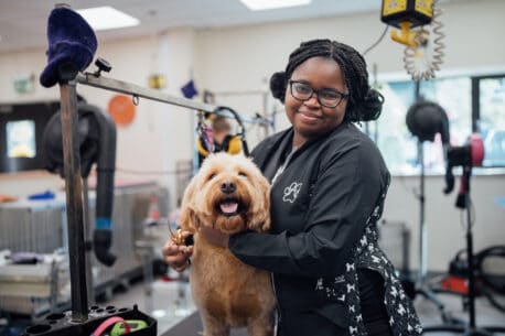 Dog Grooming Student in Dog Grooming Salon with a Dog