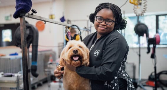 Dog Grooming Student in Dog Grooming Salon with a Dog