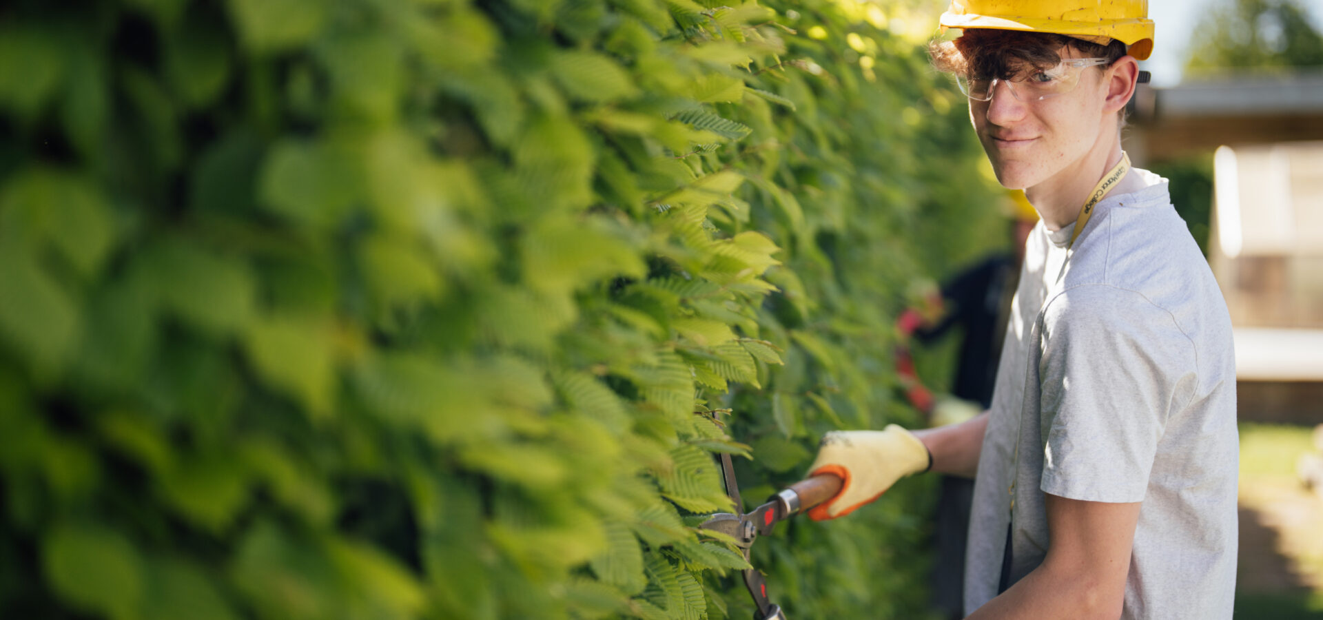 Young Horticulture Students Trimming Hedge with Shears on Sunny Day