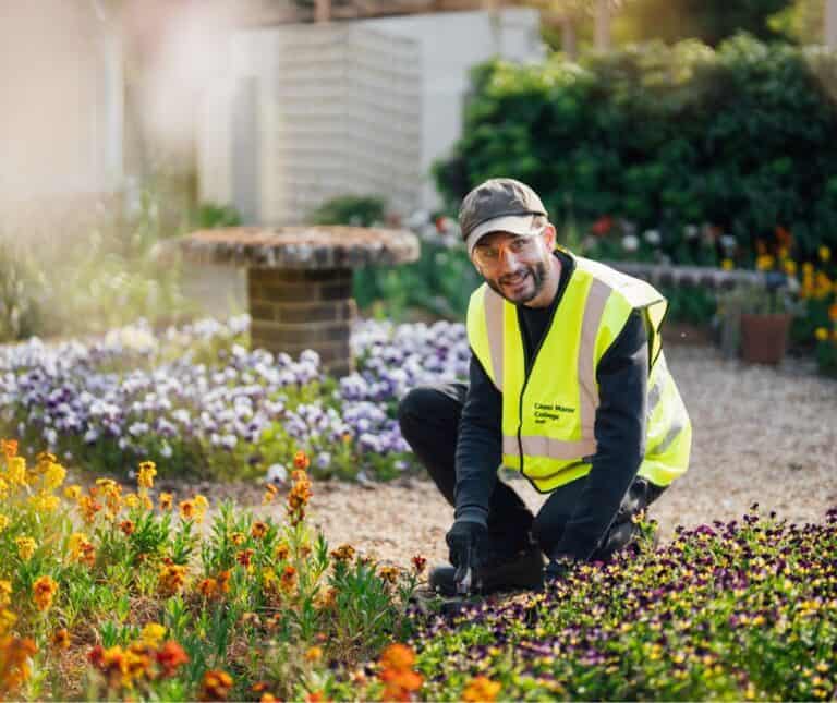 Man planting flowers