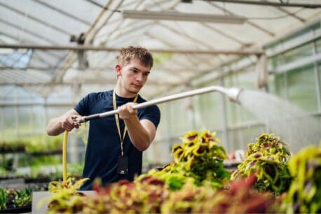 Boy watering plants