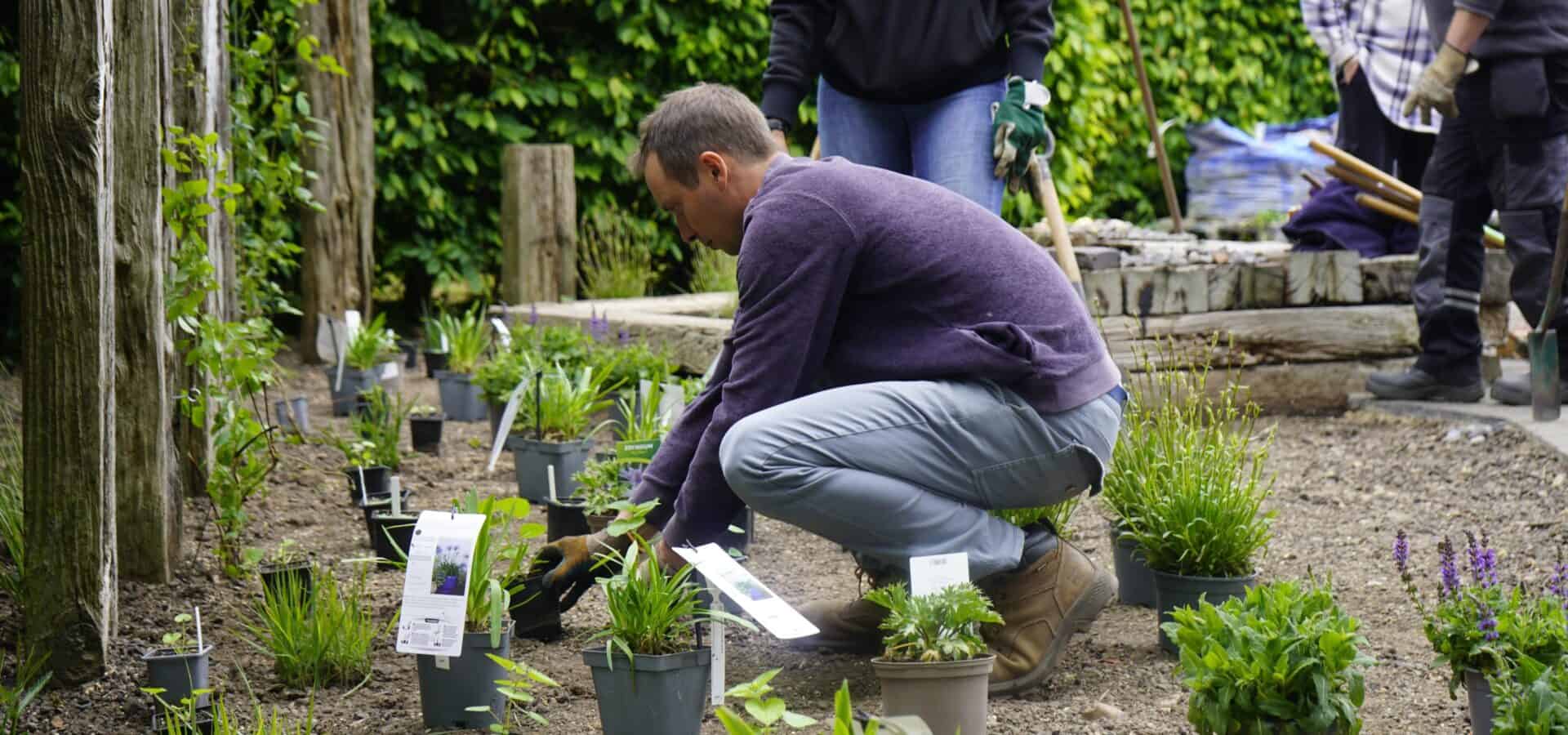 Man planting plant