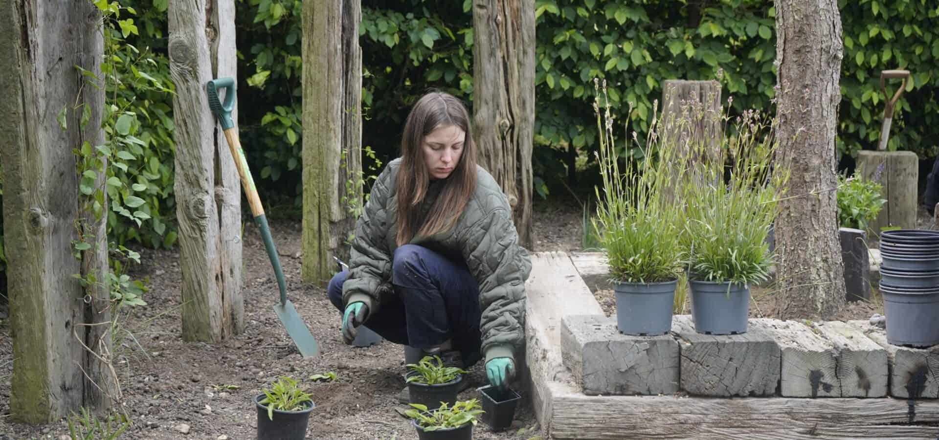 Girl planting plant