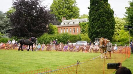 Heavy Horses walking around the show ground as visitors watch.