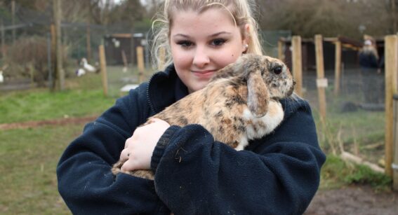 Animal Management student at Capel Manor College holding a rabbit during a practical session.