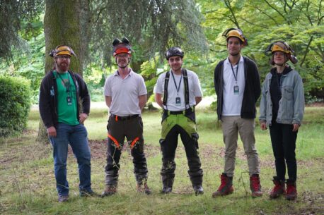arboriculture students in their work safety gear standing by trees.