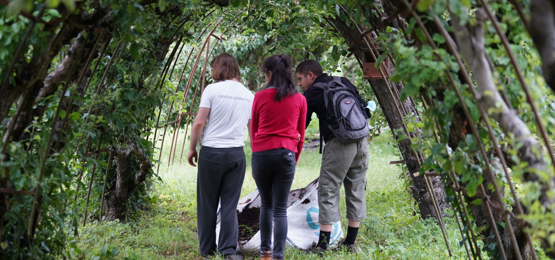 Wildlife and environmental conservation students at Capel Manor College performing practical work underneath a tree arch.