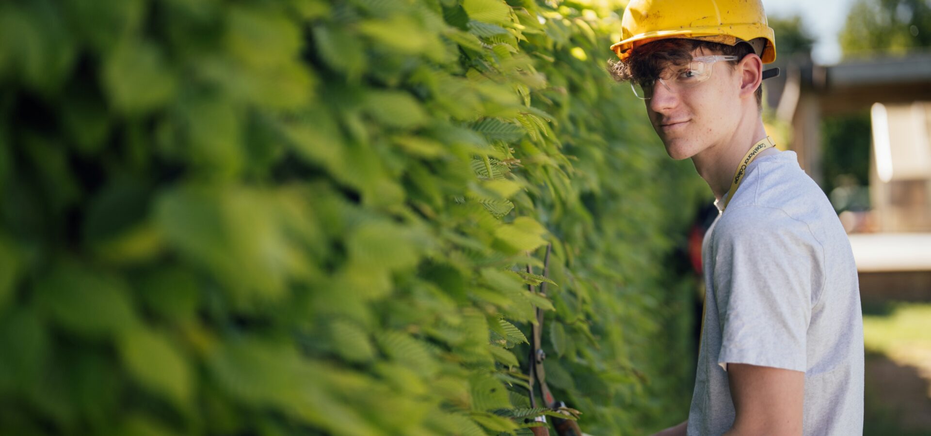 Horticulture student at Capel Manor College trimming a bush with shears.