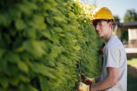 Horticulture student at Capel Manor College trimming a bush with shears.