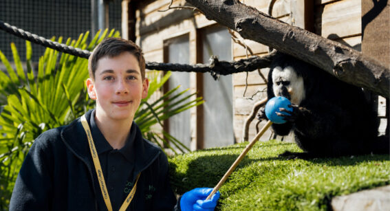 An animal management student at Capel Manor College interacting with a saki monkey in the mini zoo at the Enfield Campus during a practical session.