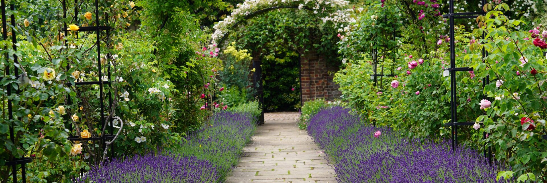 Capel Manor Gardens in bloom.
