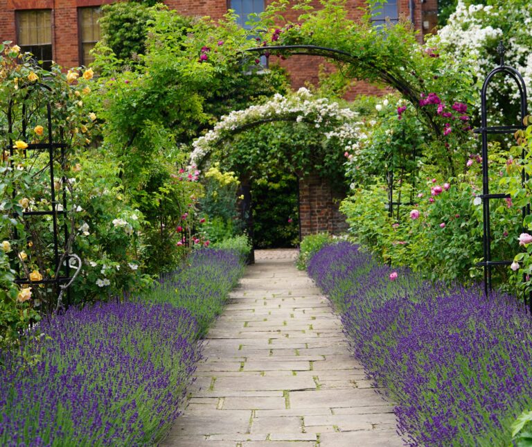Capel Manor Gardens in bloom.