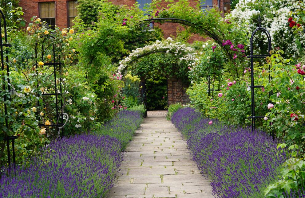 Capel Manor Gardens in bloom.