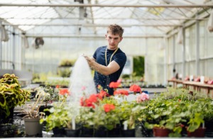 Horticulture student at Capel Manor College watering plants during a practical session.