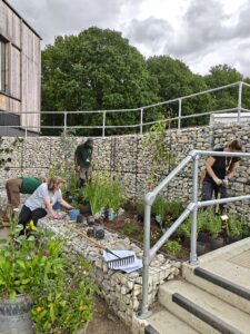 Horticulture students and staff planting mew garden at Capel Manor College's Mottingham Campus