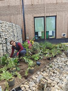 Horticulture students and staff planting mew garden at Capel Manor College's Mottingham Campus
