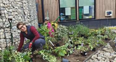Horticulture students and staff planting mew garden at Capel Manor College's Mottingham Campus