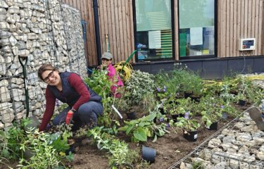 Horticulture students and staff planting mew garden at Capel Manor College's Mottingham Campus