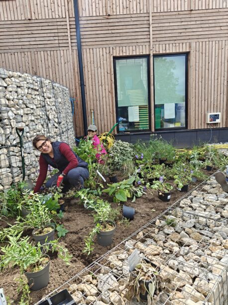 Horticulture students and staff planting mew garden at Capel Manor College's Mottingham Campus