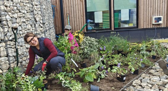 Horticulture students and staff planting mew garden at Capel Manor College's Mottingham Campus