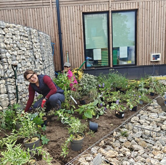 Horticulture students and staff planting mew garden at Capel Manor College's Mottingham Campus