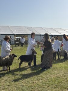 Capel Manor College student winning rosette at Herts County Show