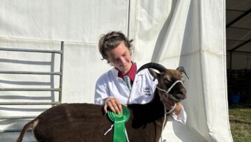 Capel Manor College agriculture student with rosette and sheep at Herts County Show
