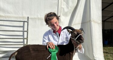 Capel Manor College agriculture student with rosette and sheep at Herts County Show