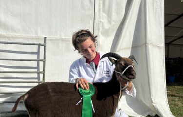 Capel Manor College agriculture student with rosette and sheep at Herts County Show