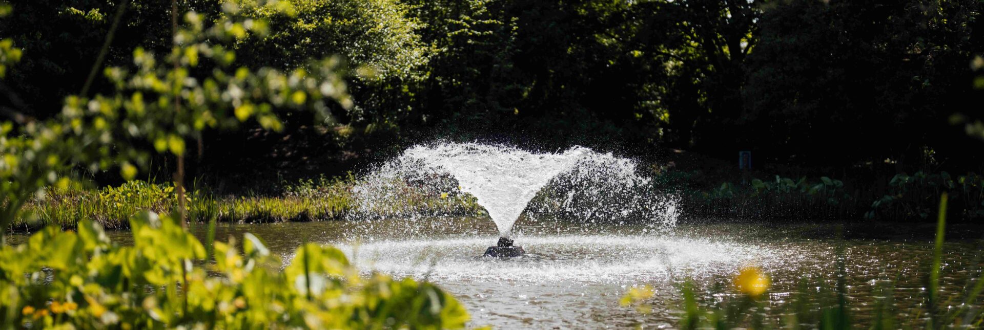 A fountain in the middle of the lake at Capel Manor College's Enfield Campus.