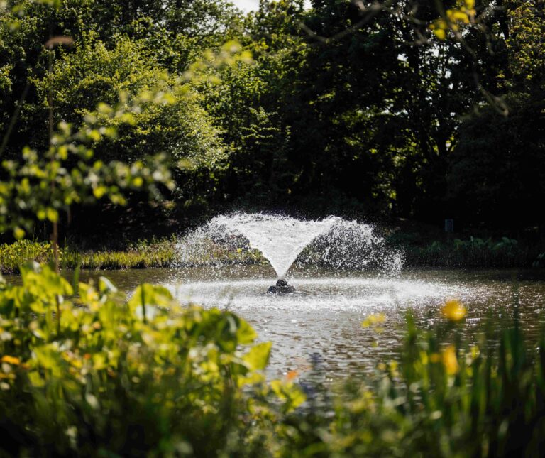 A fountain in the middle of the lake at Capel Manor College's Enfield Campus.