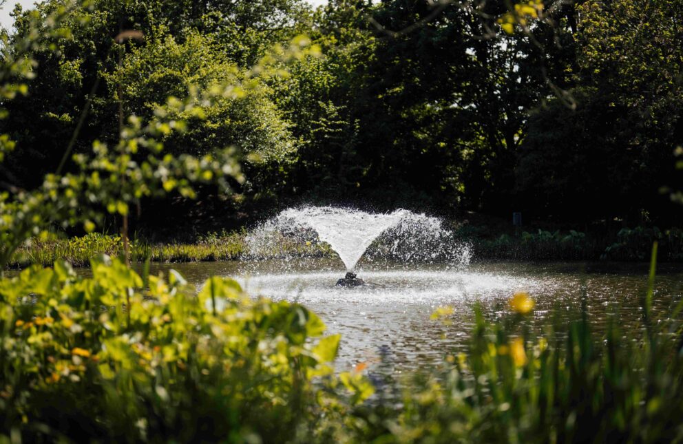 A fountain in the middle of the lake at Capel Manor College's Enfield Campus.